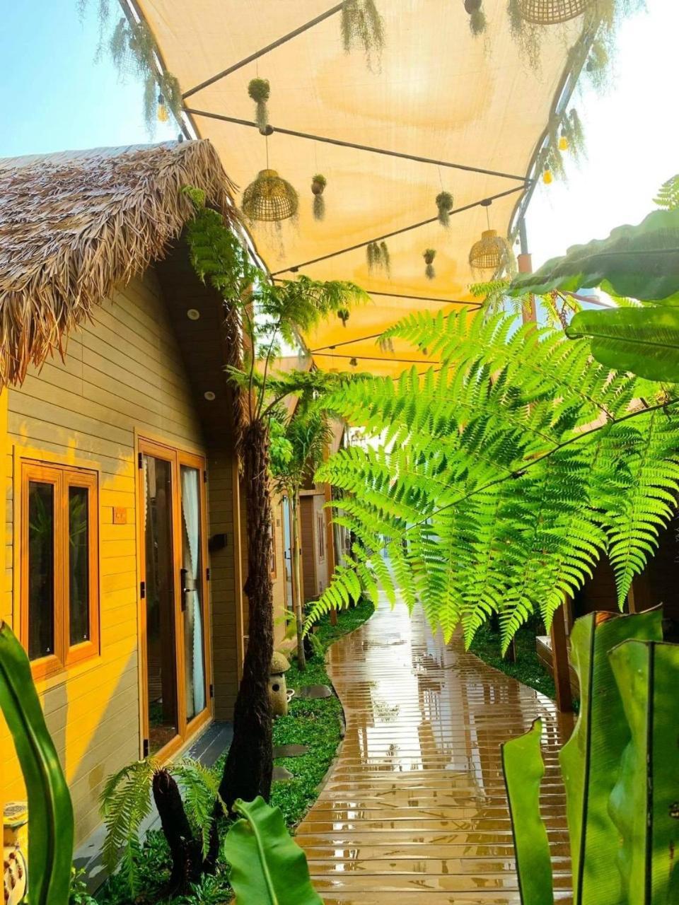La Garden Homestay Лонгсюен Экстерьер фото