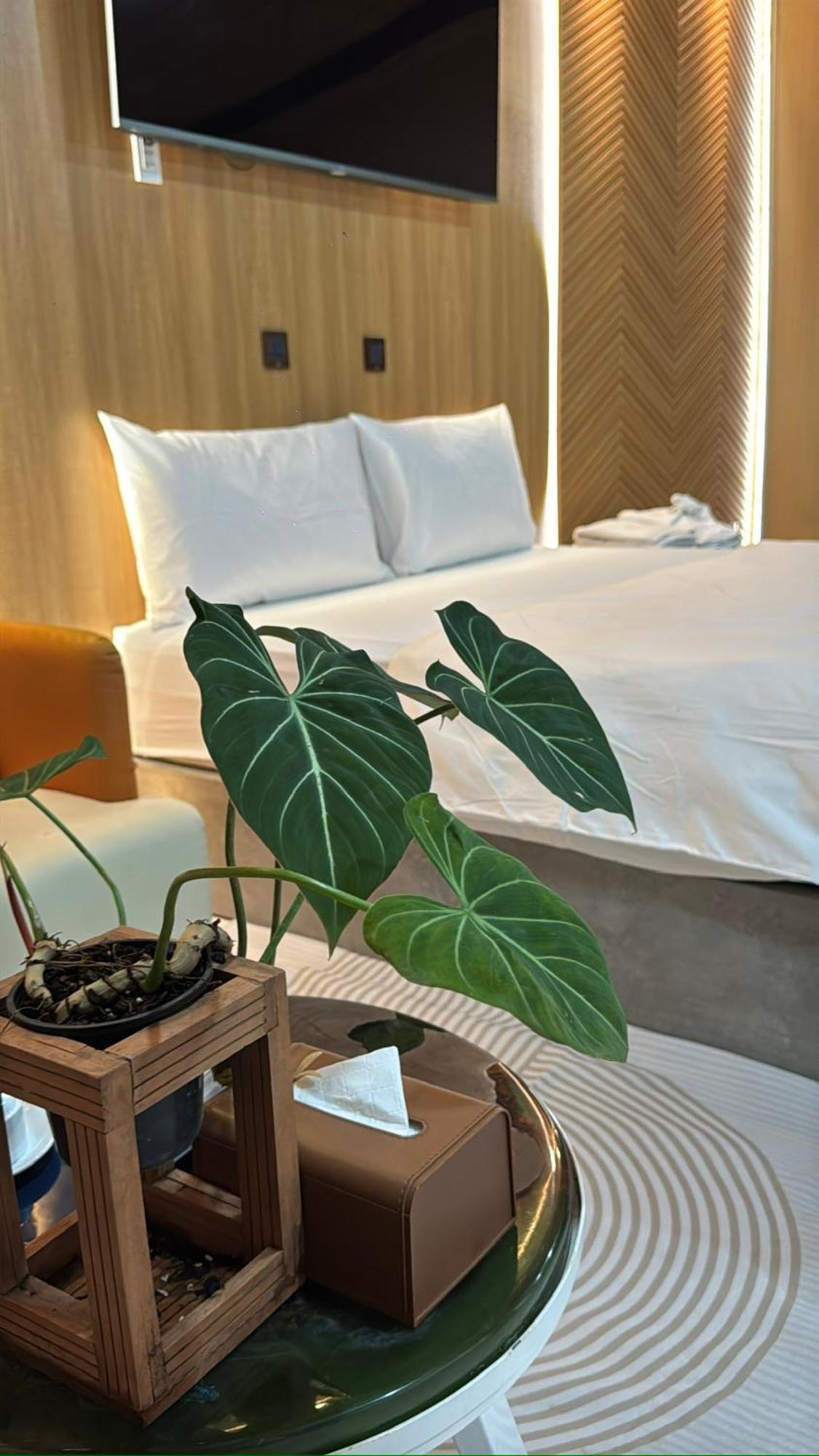 La Garden Homestay Лонгсюен Экстерьер фото